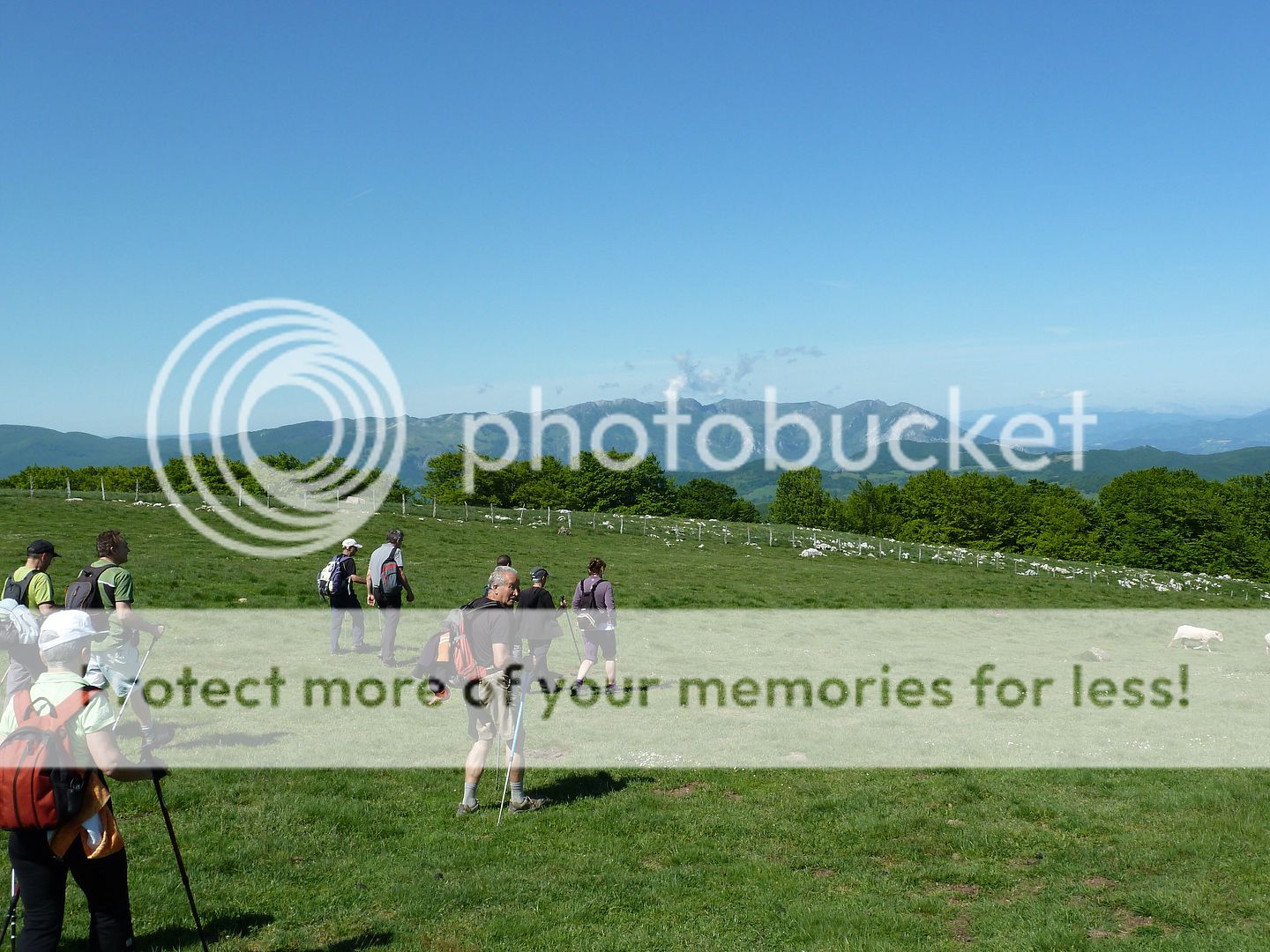 Photo Sharing and Video Hosting at Photobucket