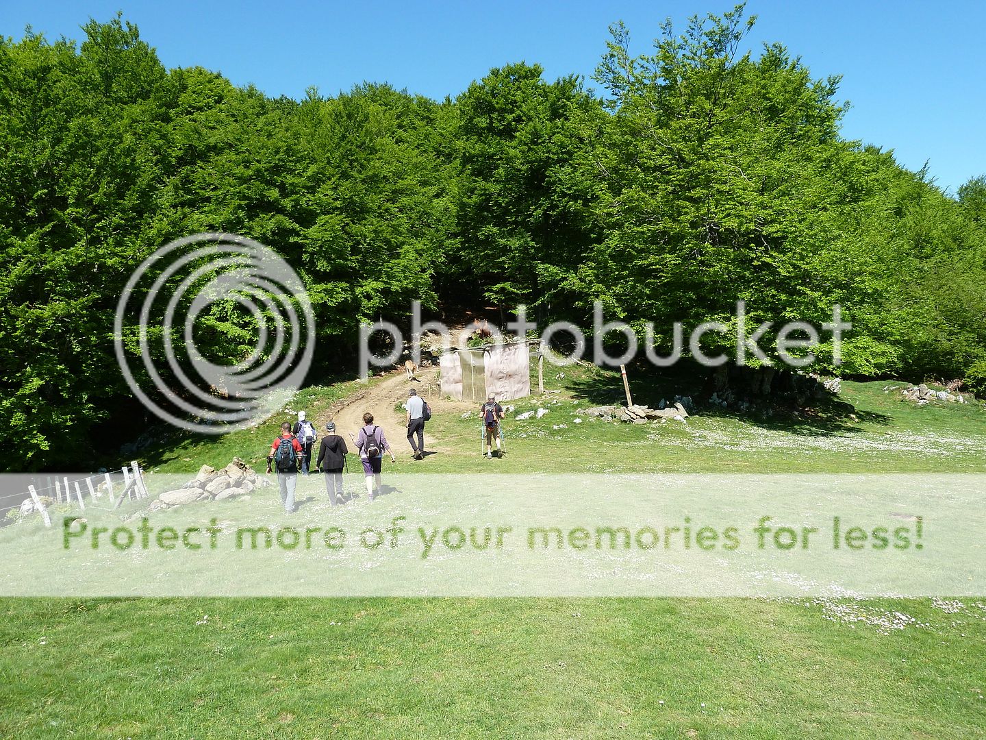 Photo Sharing and Video Hosting at Photobucket