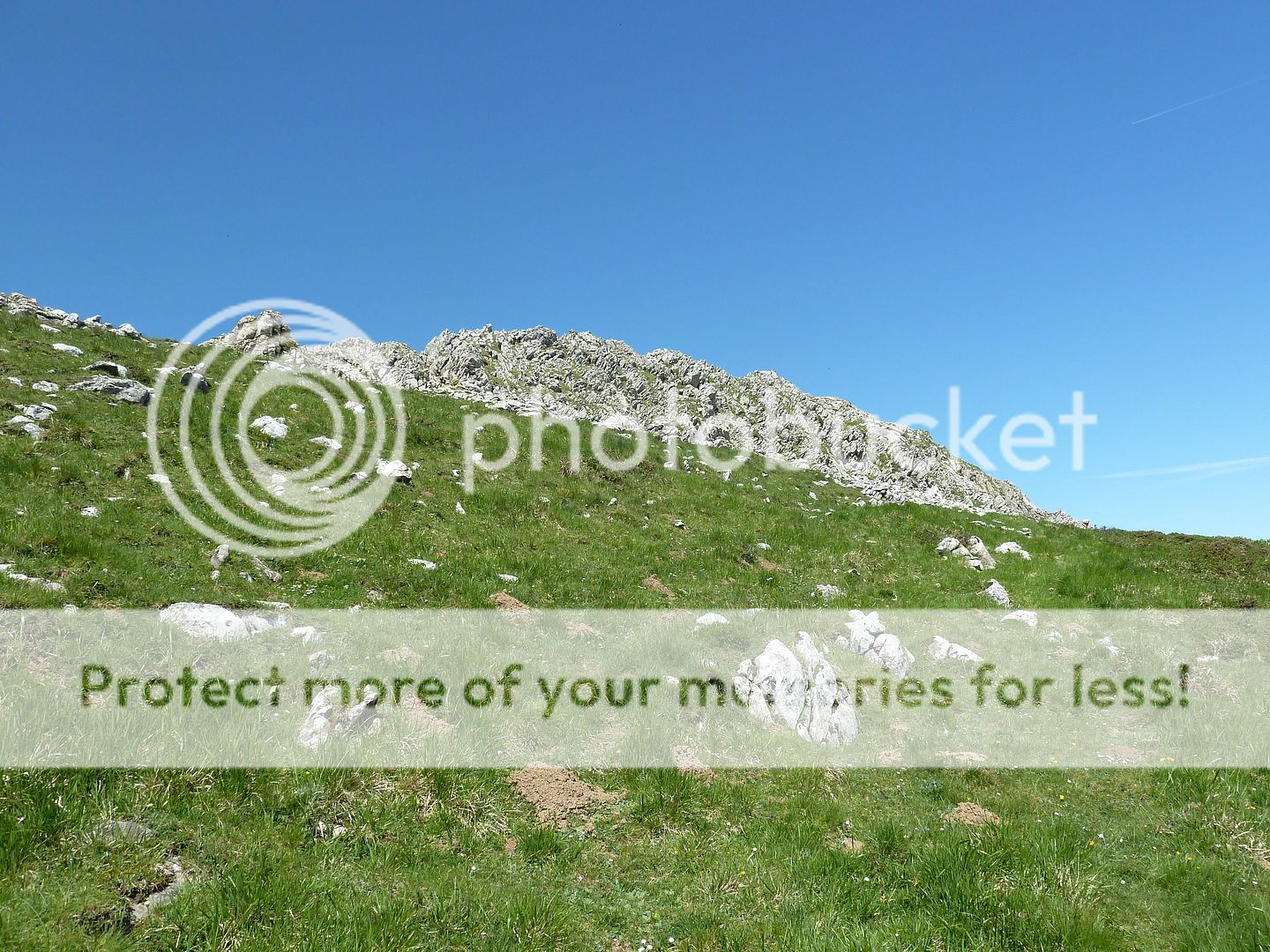 Photo Sharing and Video Hosting at Photobucket