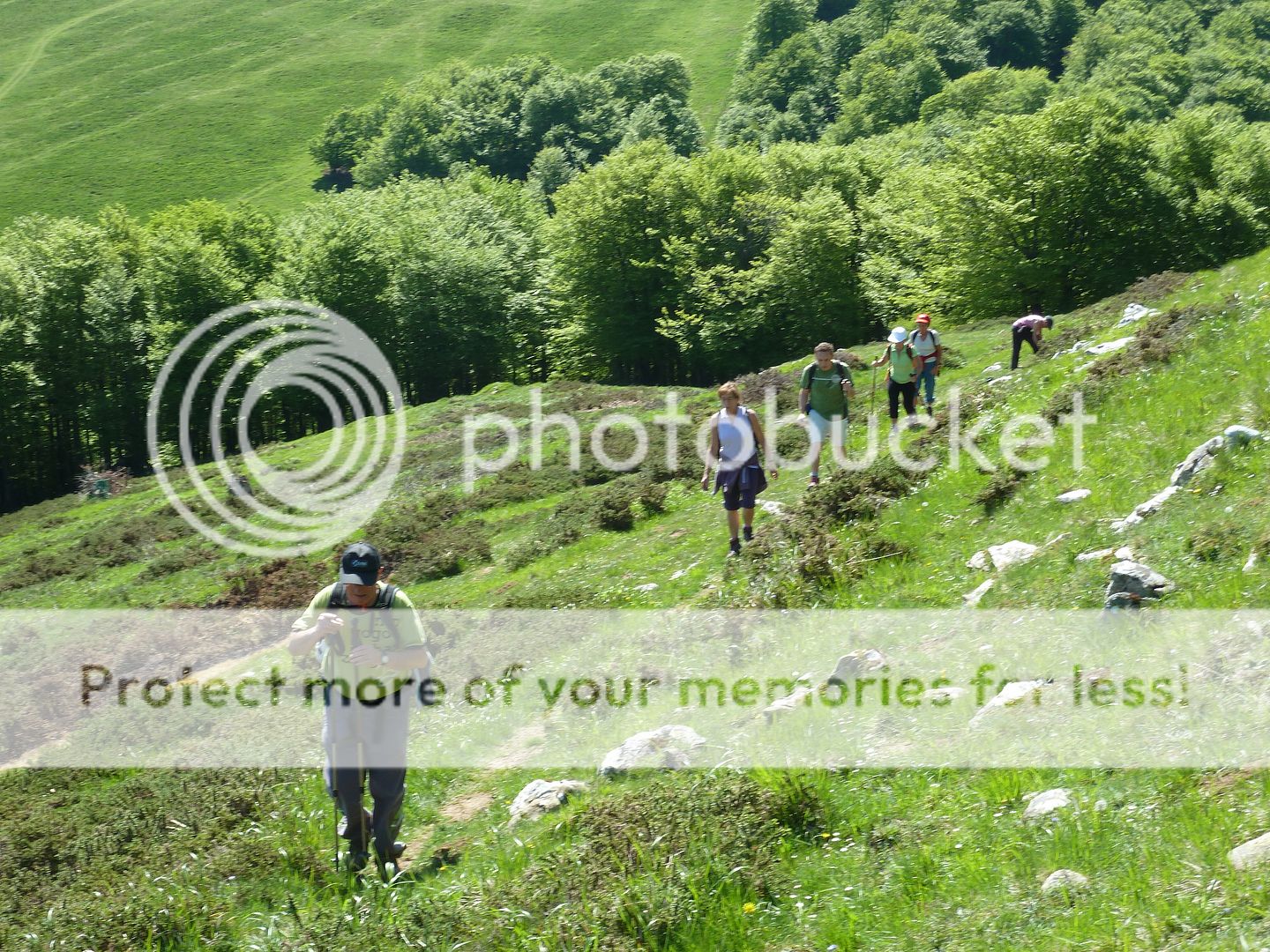 Photo Sharing and Video Hosting at Photobucket