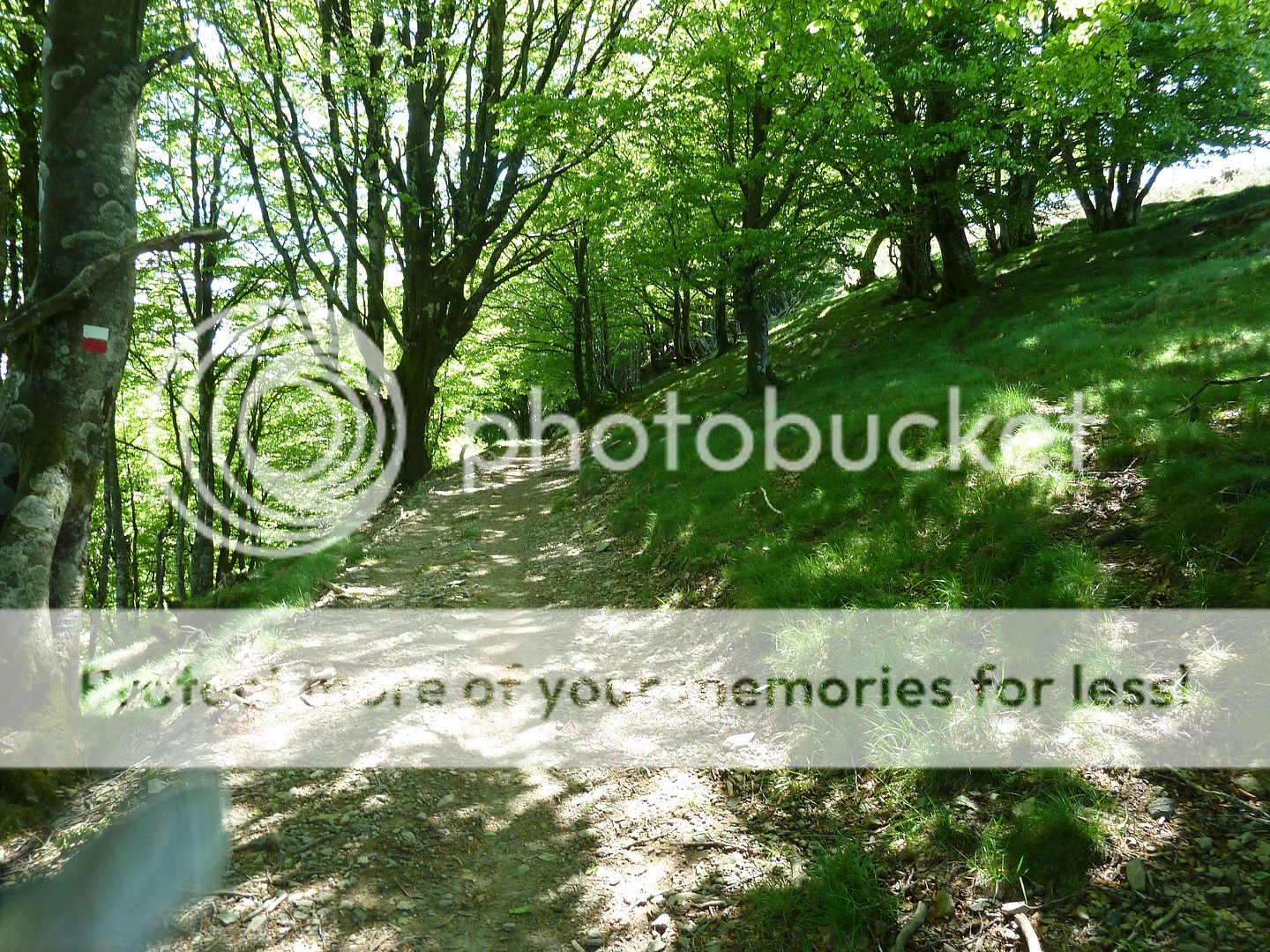Photo Sharing and Video Hosting at Photobucket