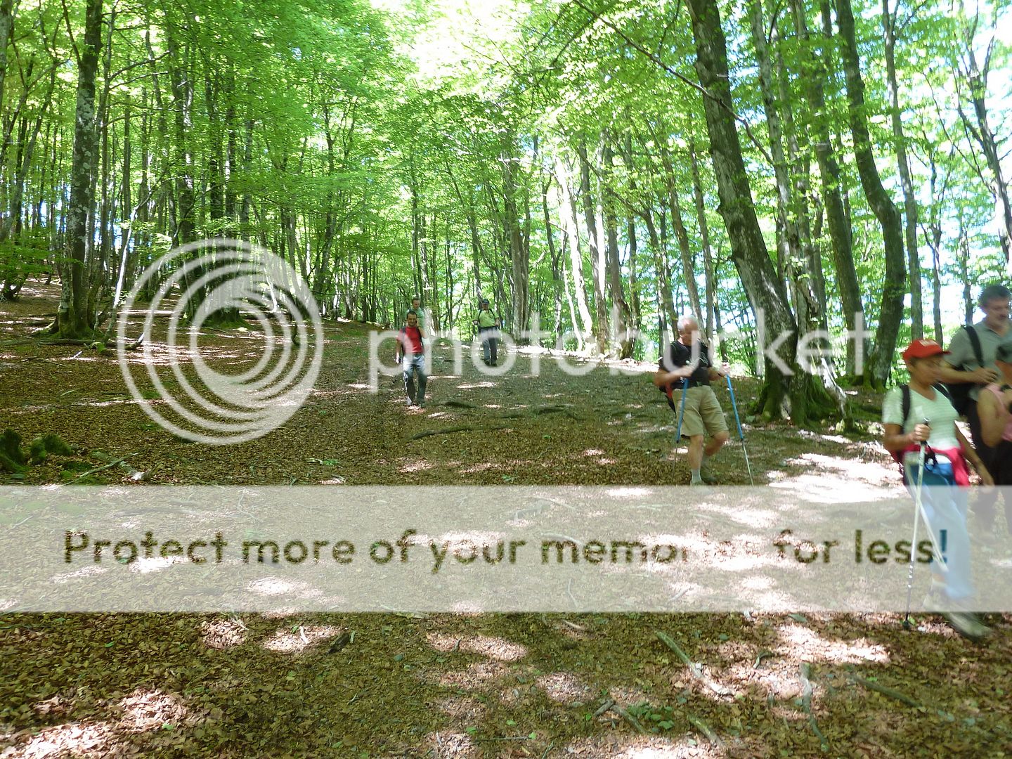 Photo Sharing and Video Hosting at Photobucket