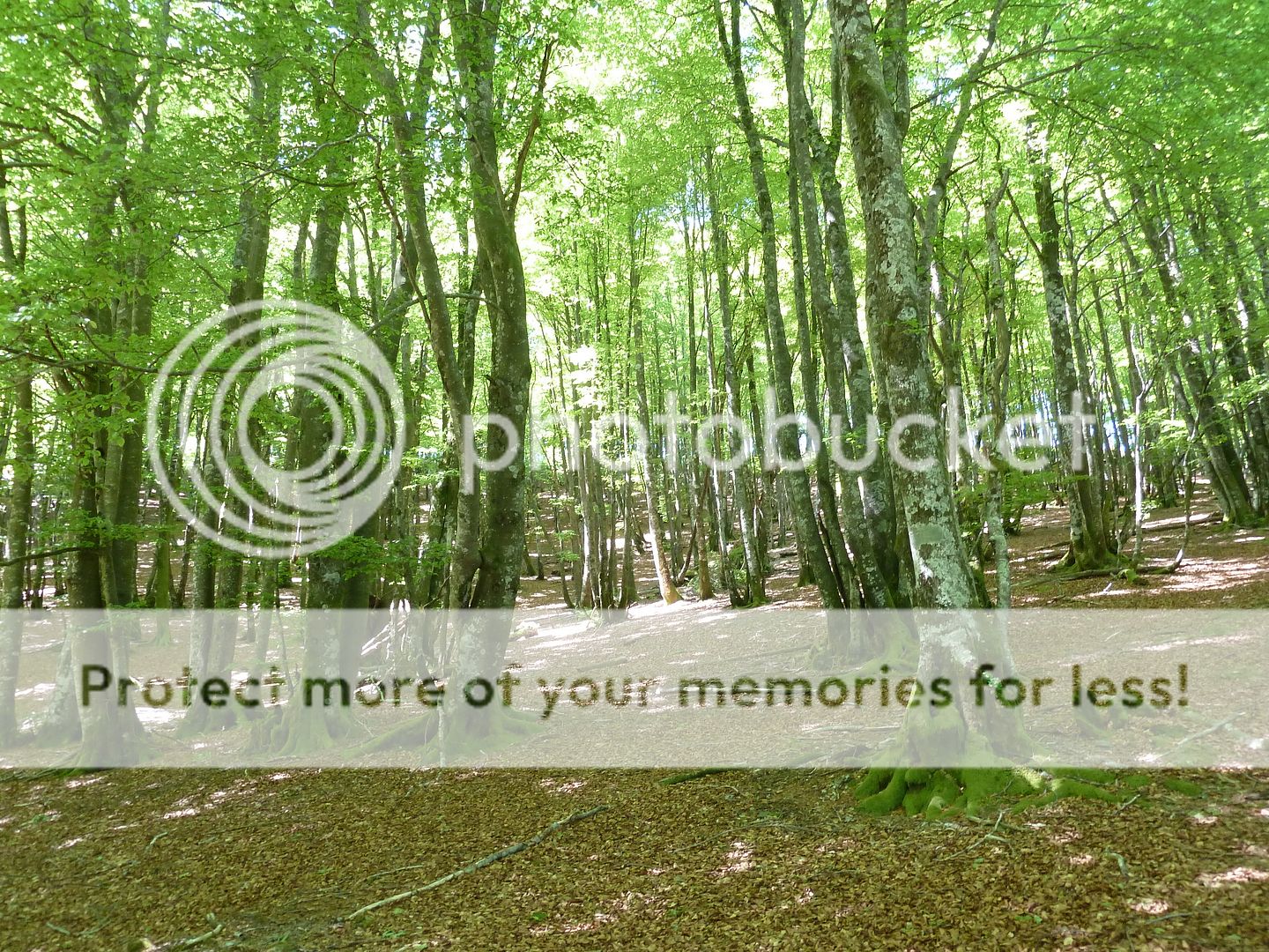 Photo Sharing and Video Hosting at Photobucket