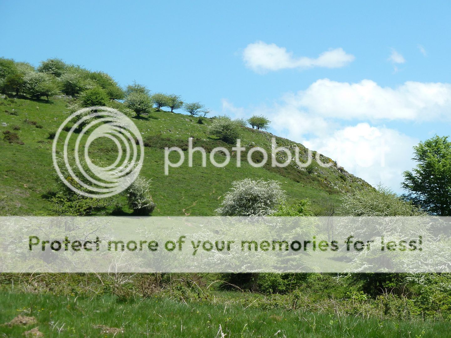 Photo Sharing and Video Hosting at Photobucket