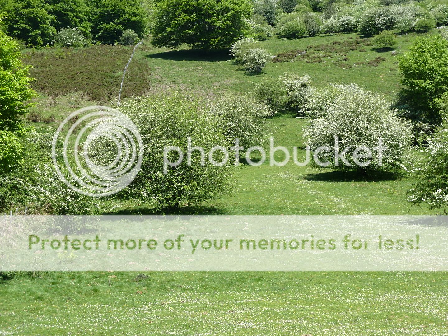 Photo Sharing and Video Hosting at Photobucket