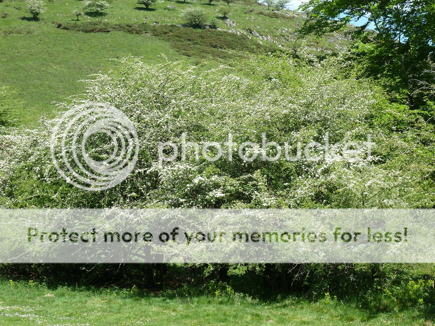 Photo Sharing and Video Hosting at Photobucket