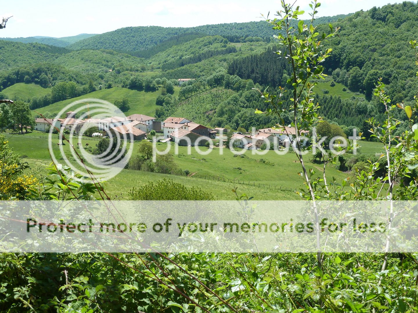 Photo Sharing and Video Hosting at Photobucket