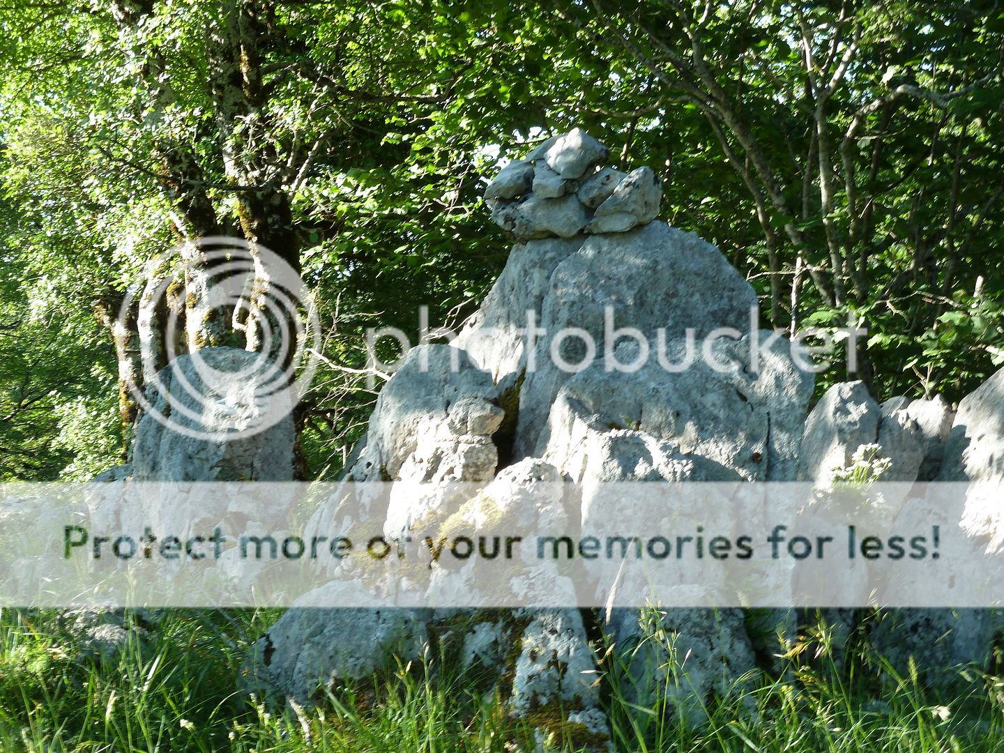 Photo Sharing and Video Hosting at Photobucket