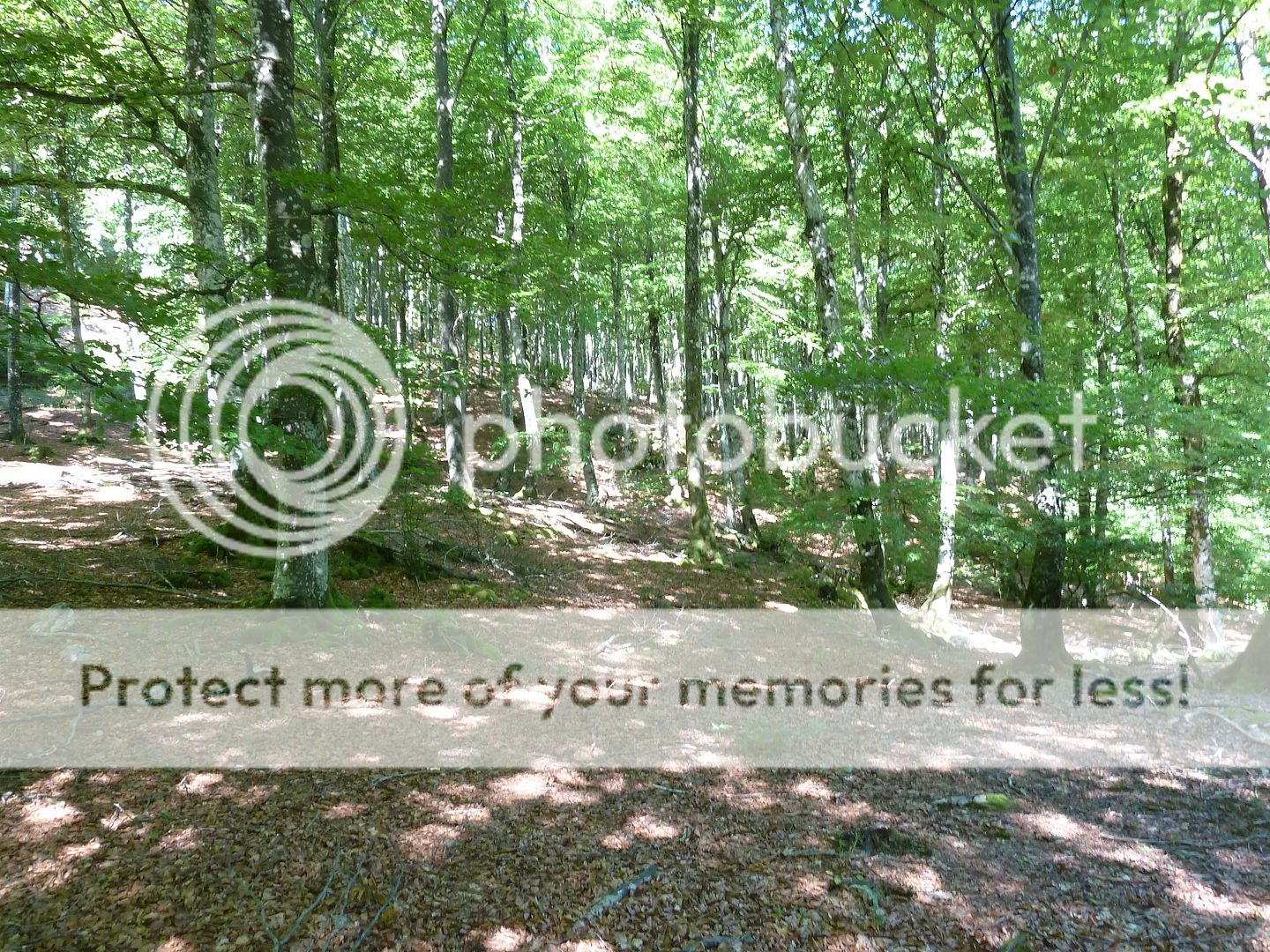 Photo Sharing and Video Hosting at Photobucket