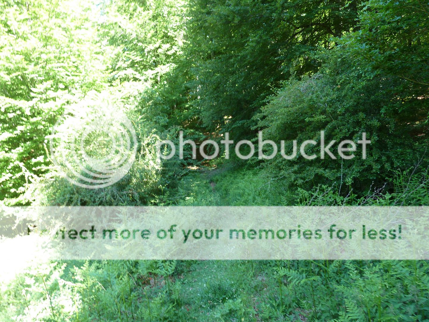 Photo Sharing and Video Hosting at Photobucket