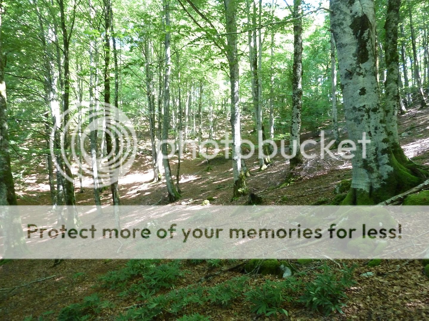 Photo Sharing and Video Hosting at Photobucket