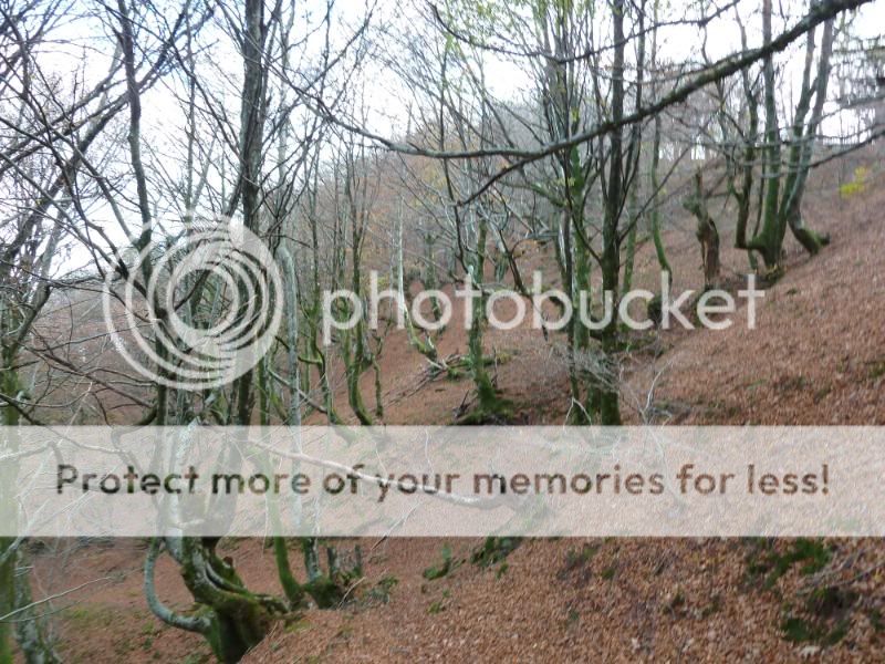 Photo Sharing and Video Hosting at Photobucket
