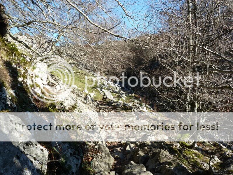 Photo Sharing and otobucVideo Hosting at Phket