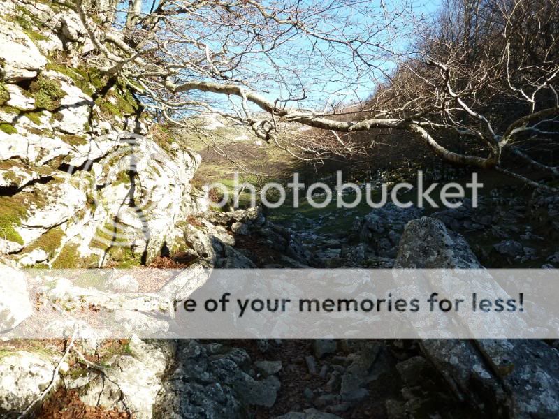 Photo Sharing and otobucVideo Hosting at Phket