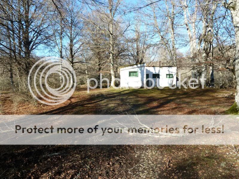 Photo Sharing and otobucVideo Hosting at Phket