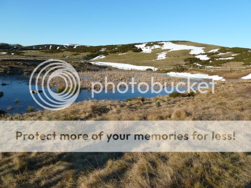 Photo Sharing and otobucVideo Hosting at Phket