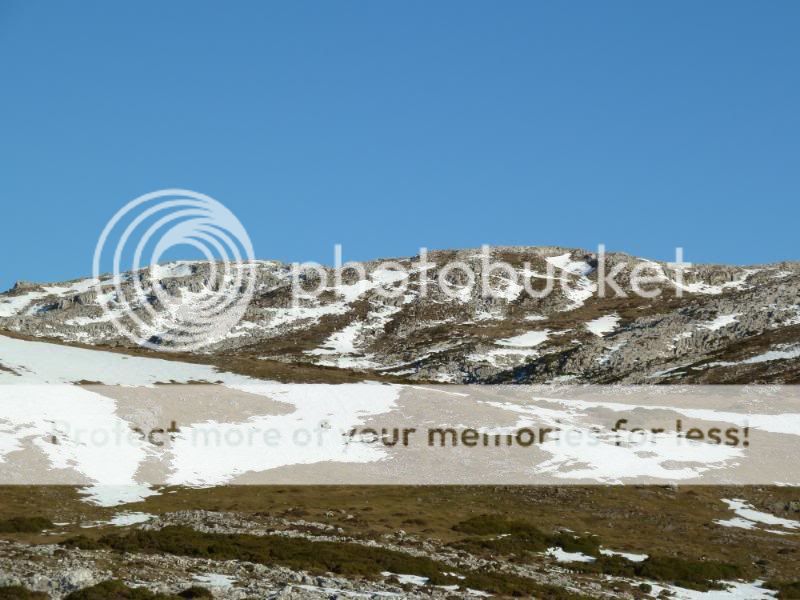 Photo Sharing and otobucVideo Hosting at Phket