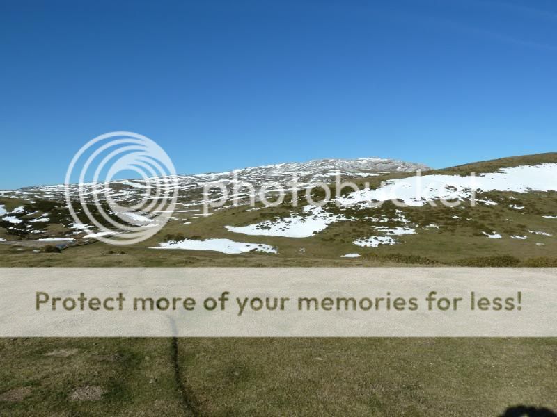 Photo Sharing and otobucVideo Hosting at Phket
