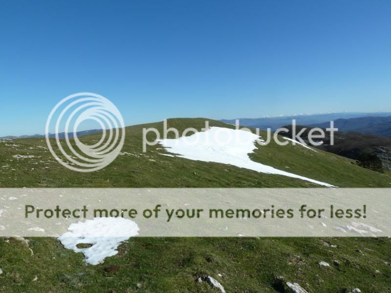 Photo Sharing and otobucVideo Hosting at Phket