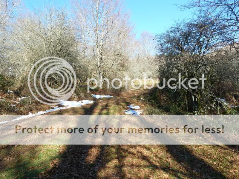 Photo Sharing and otobucVideo Hosting at Phket