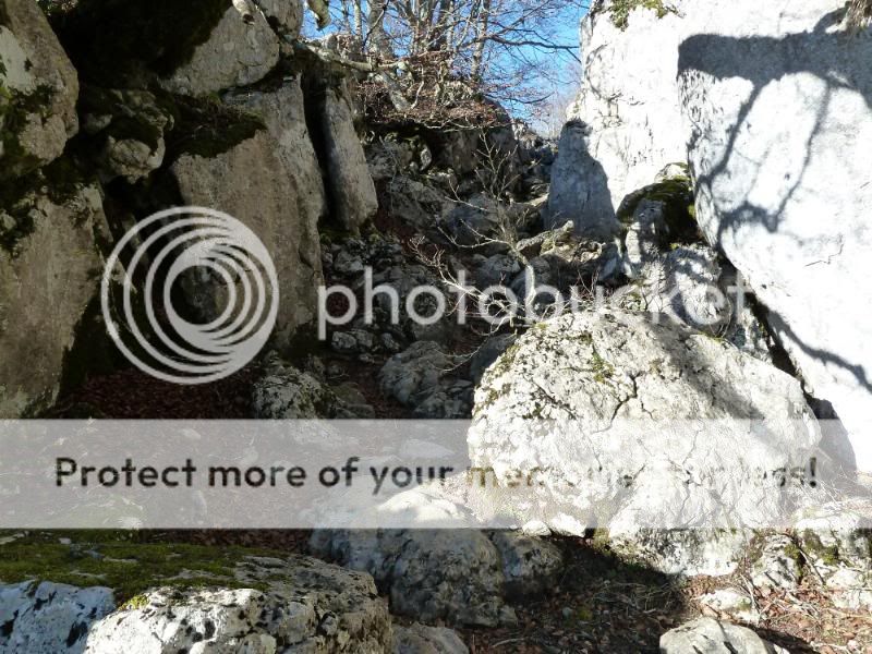 Photo Sharing and otobucVideo Hosting at Phket