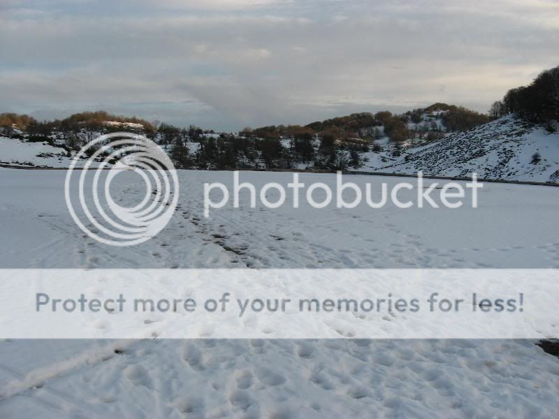Photo Sharing and Video Hosting at Photobucket