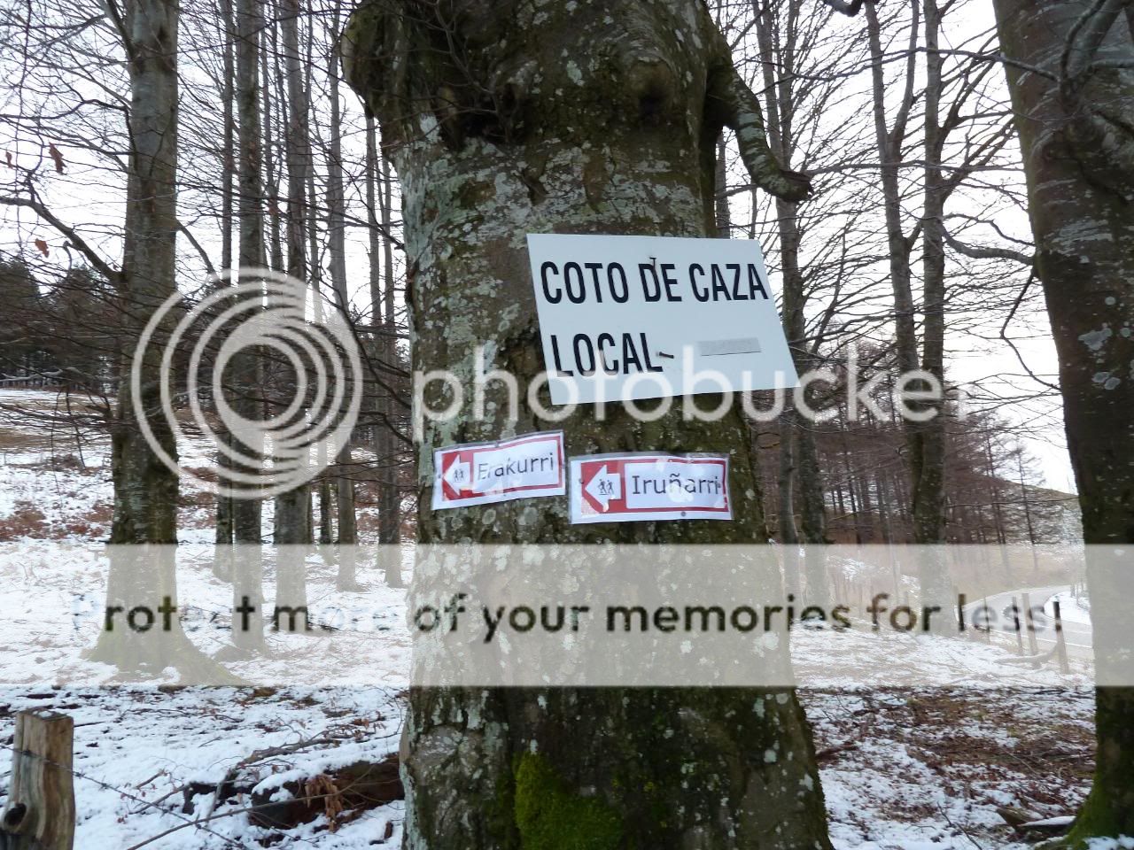 Photo Sharing and otobucVideo Hosting at Phket