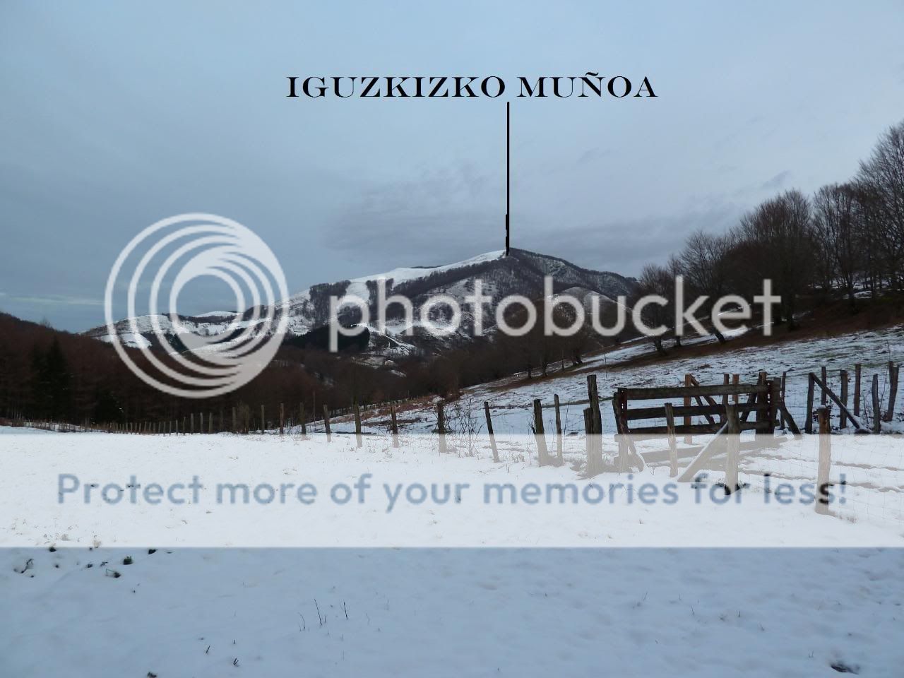 Photo Sharing and otobucVideo Hosting at Phket