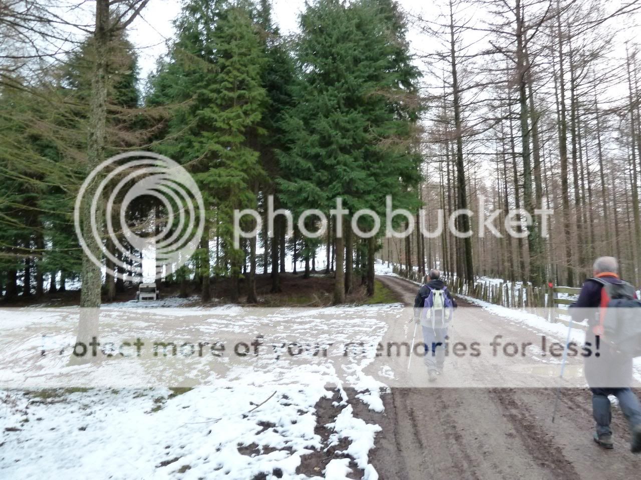 Photo Sharing and otobucVideo Hosting at Phket