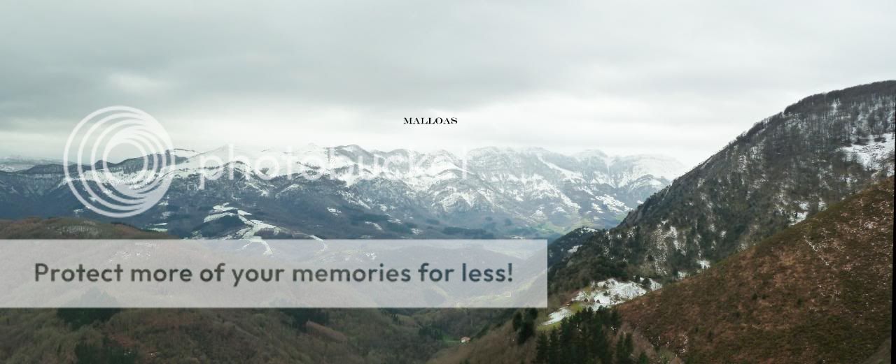 Photo Sharing and otobucVideo Hosting at Phket