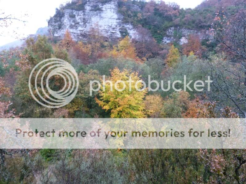 Photo Sharing and otobucVideo Hosting at Phket