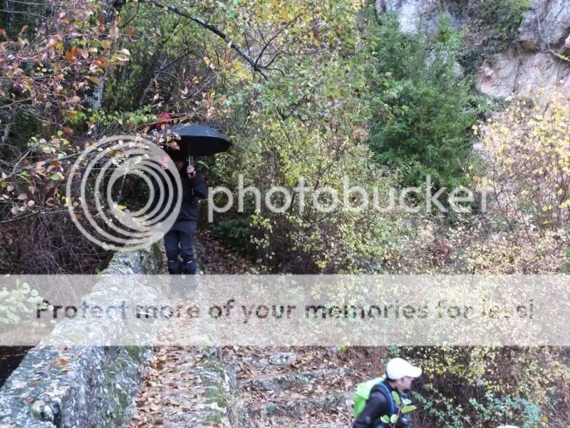 Photo Sharing and otobucVideo Hosting at Phket