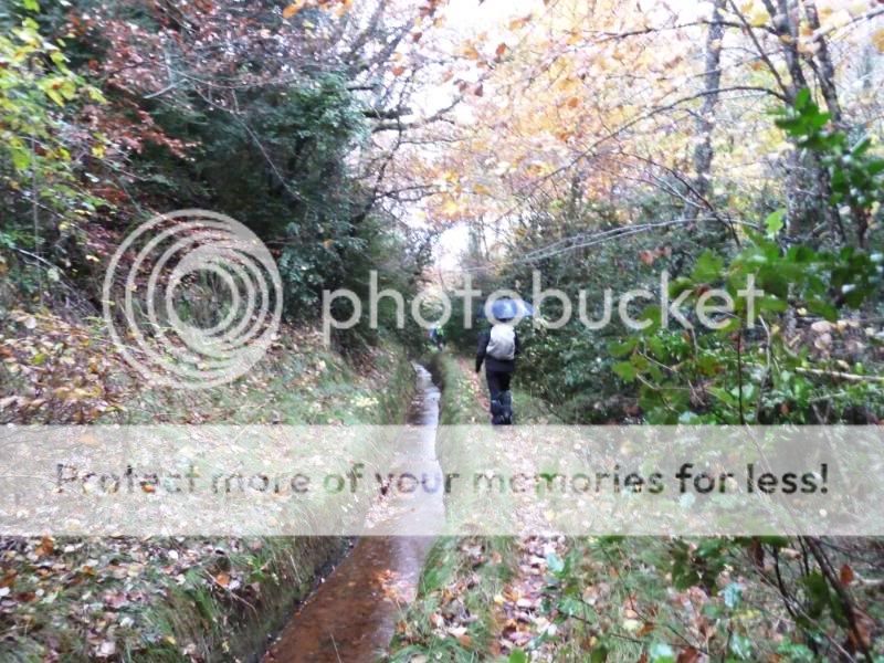 Photo Sharing and otobucVideo Hosting at Phket
