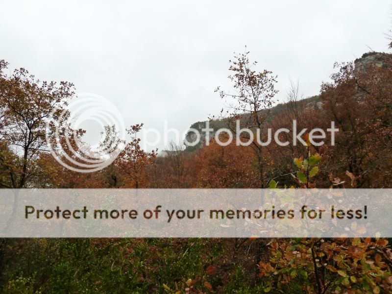Photo Sharing and otobucVideo Hosting at Phket