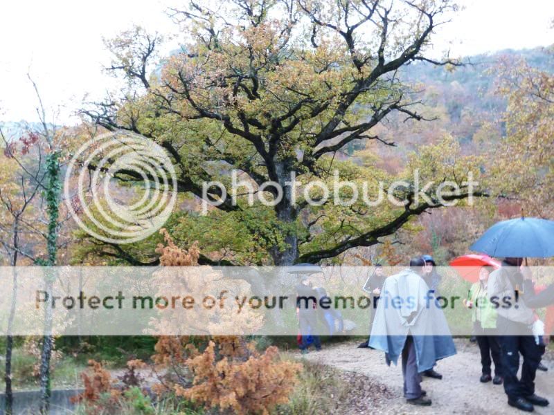 Photo Sharing and otobucVideo Hosting at Phket