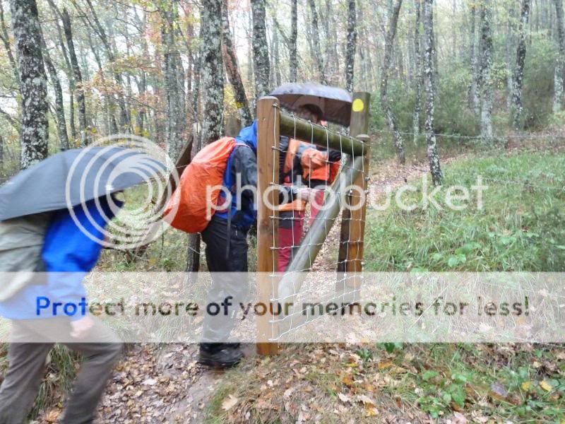 Photo Sharing and otobucVideo Hosting at Phket