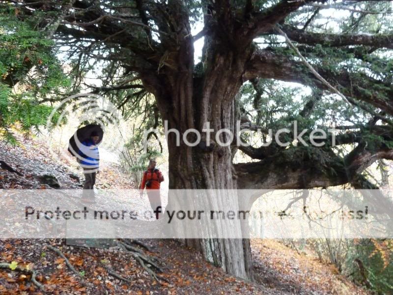 Photo Sharing and otobucVideo Hosting at Phket