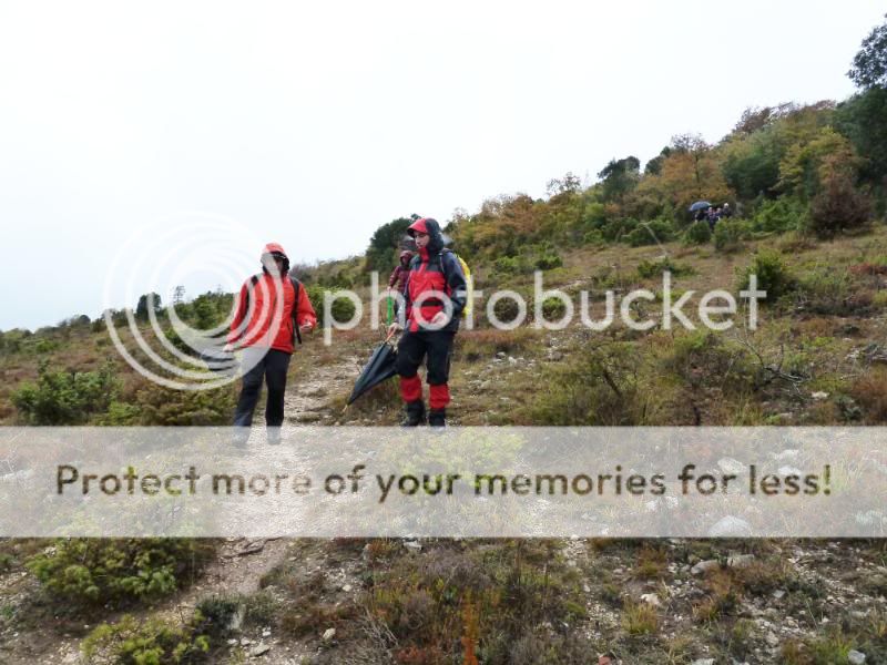 Photo Sharing and otobucVideo Hosting at Phket
