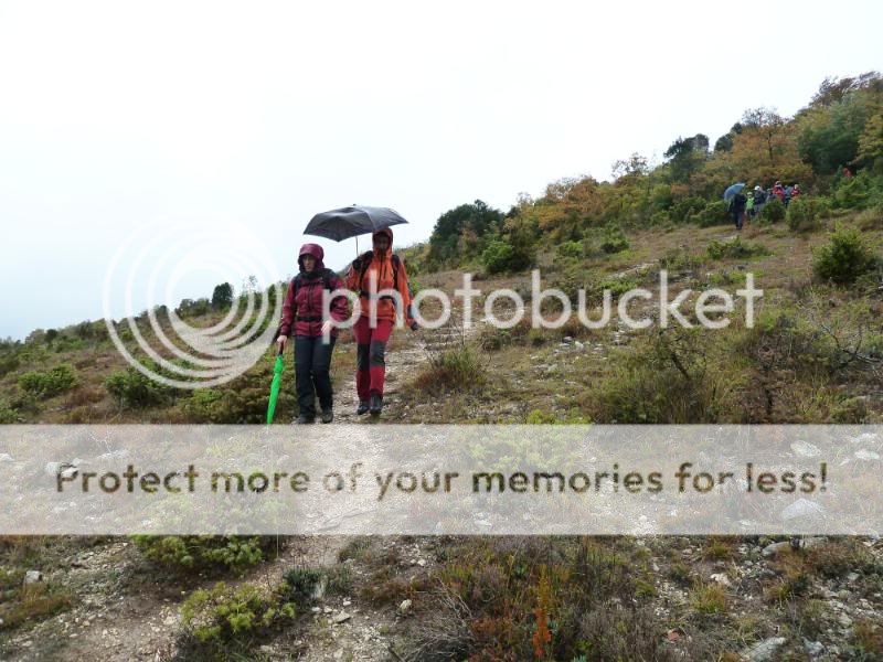 Photo Sharing and otobucVideo Hosting at Phket