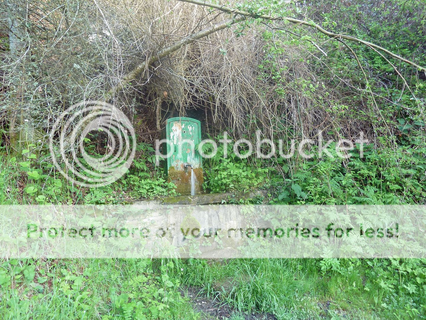 Photo Sharing and Video Hosting at Photobucket