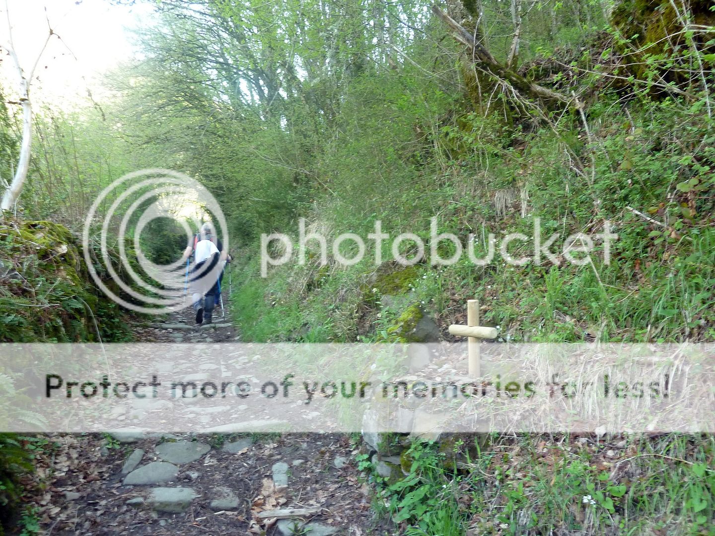 Photo Sharing and Video Hosting at Photobucket
