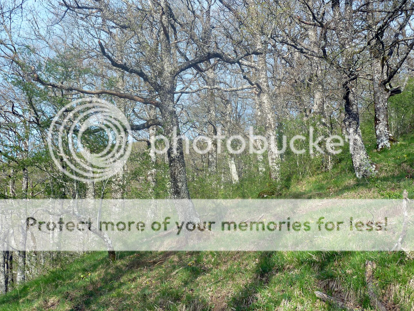 Photo Sharing and Video Hosting at Photobucket