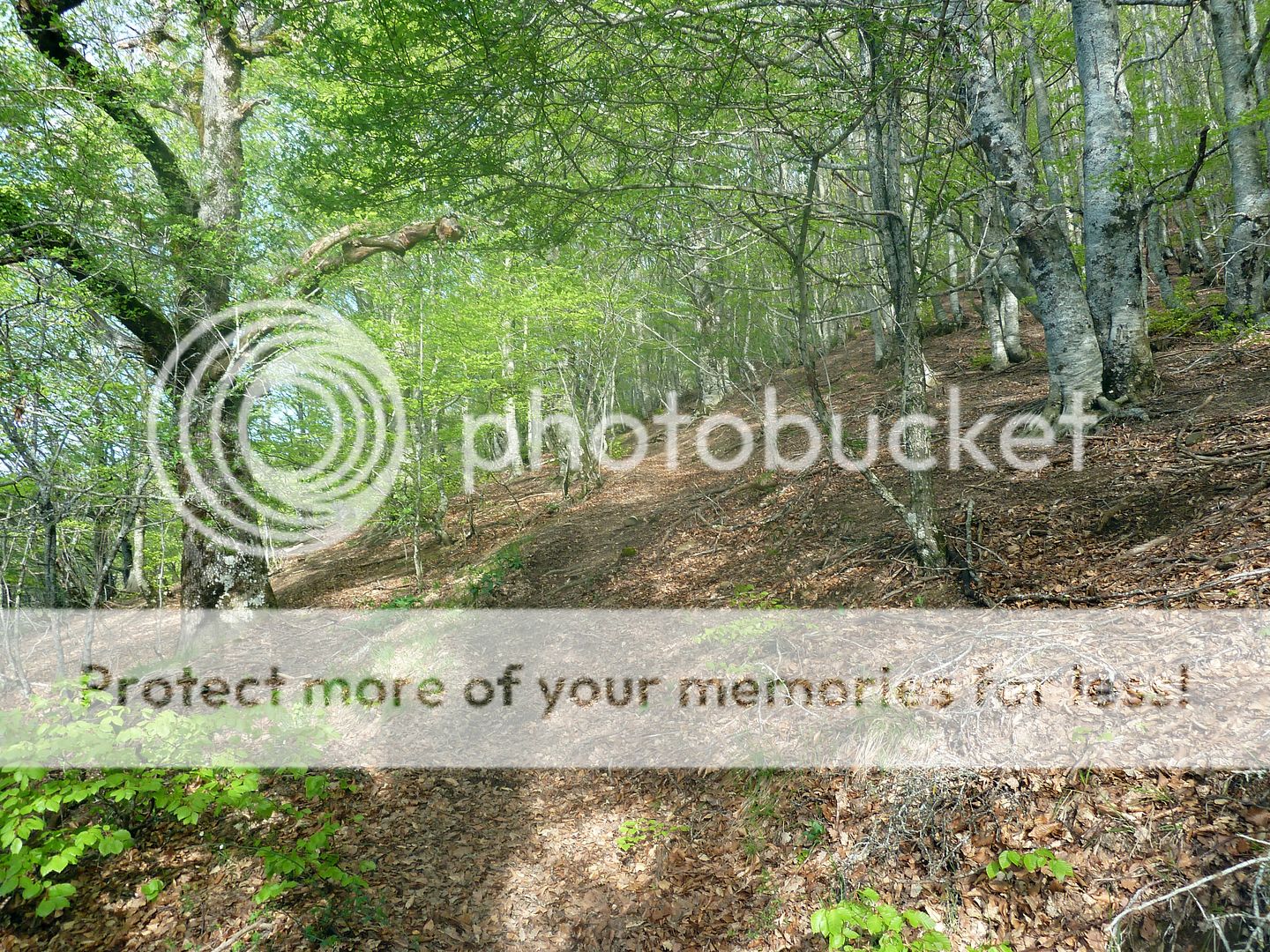 Photo Sharing and Video Hosting at Photobucket