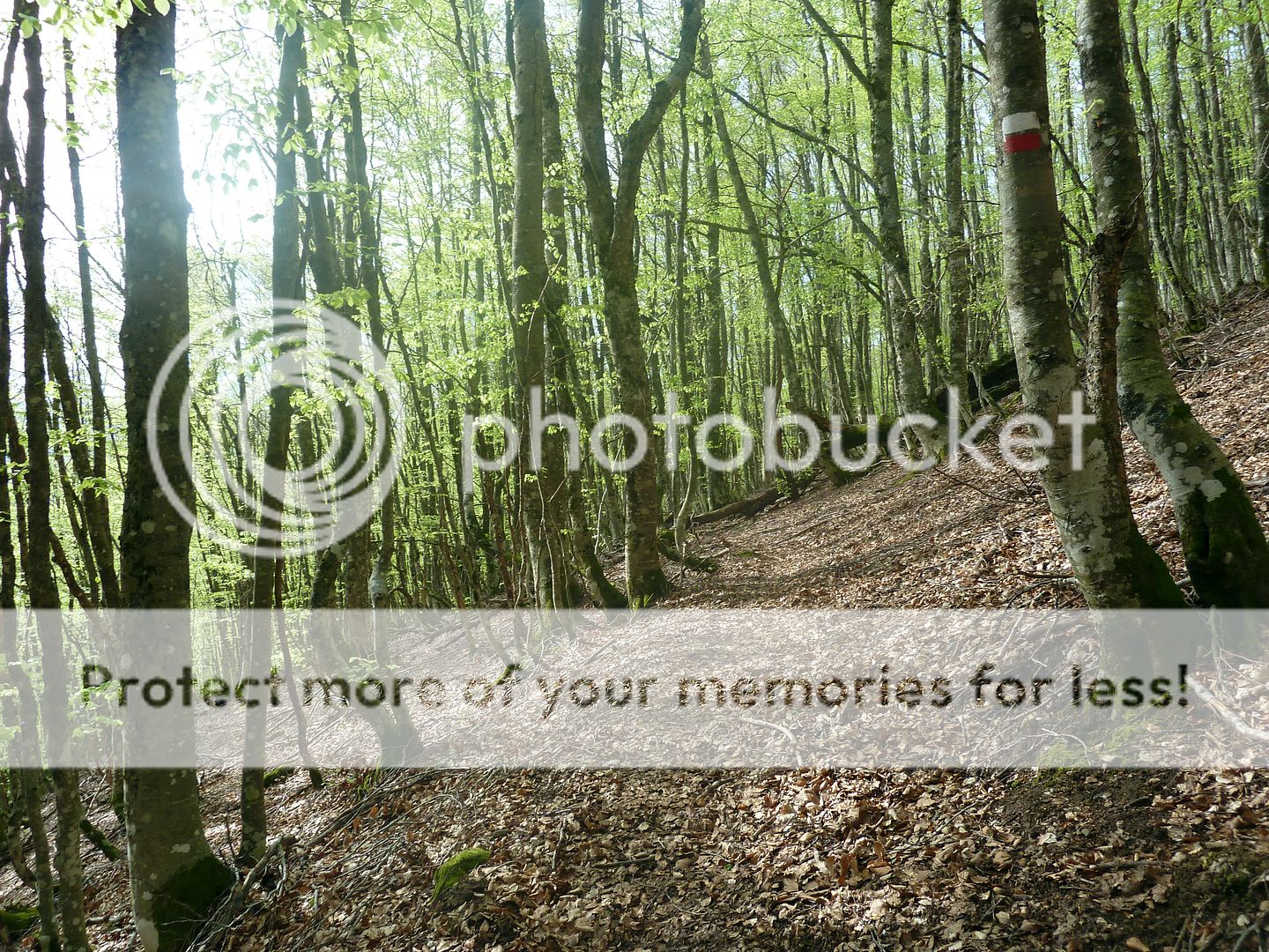 Photo Sharing and Video Hosting at Photobucket