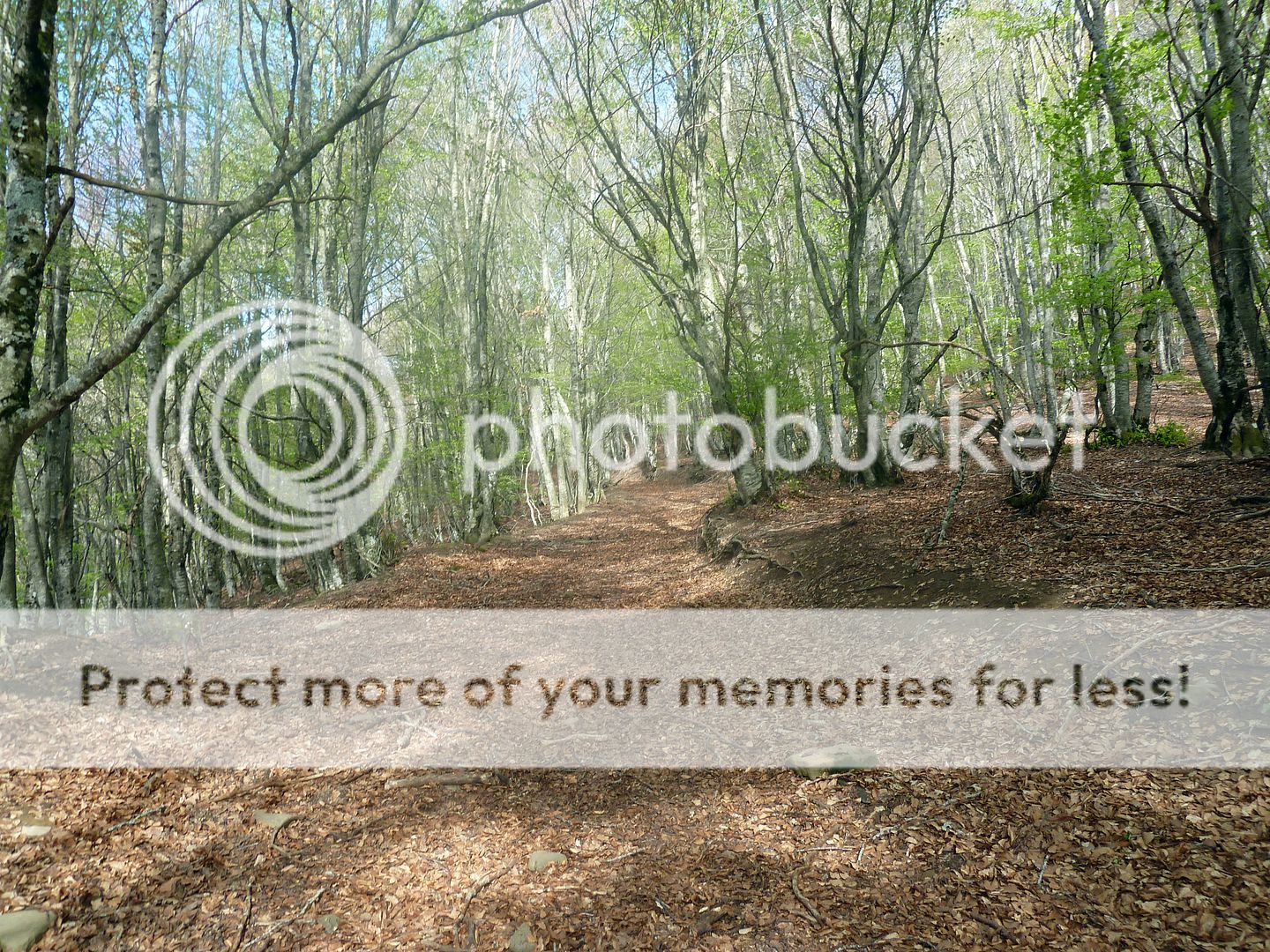 Photo Sharing and Video Hosting at Photobucket