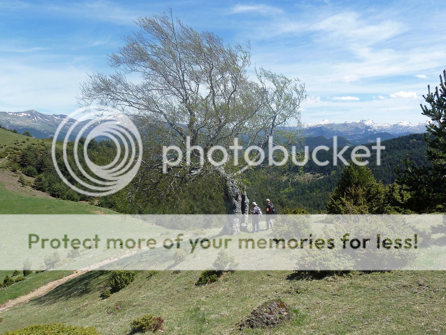 Photo Sharing and Video Hosting at Photobucket