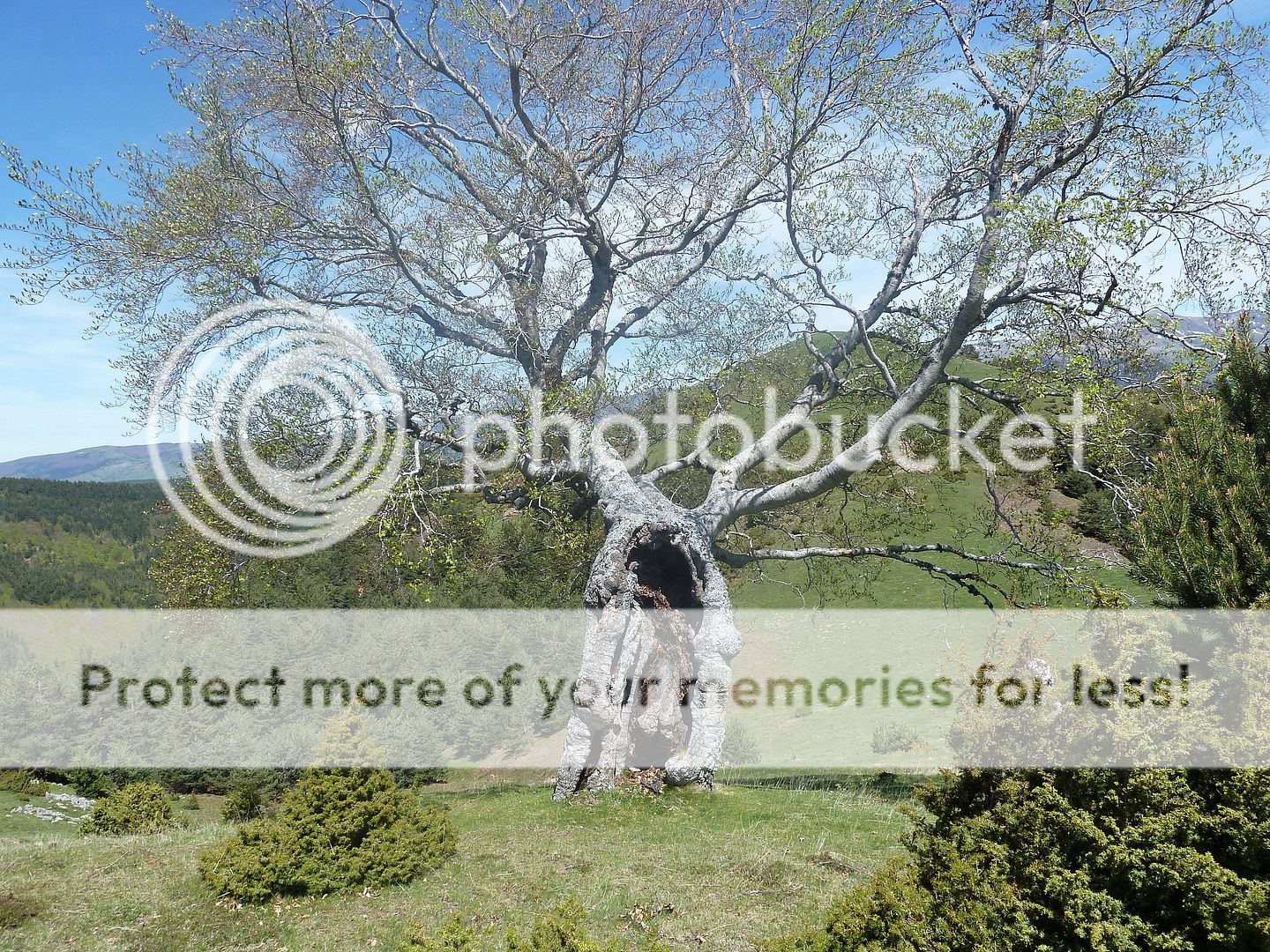 Photo Sharing and Video Hosting at Photobucket