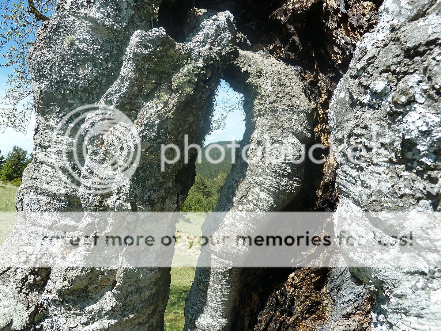 Photo Sharing and Video Hosting at Photobucket
