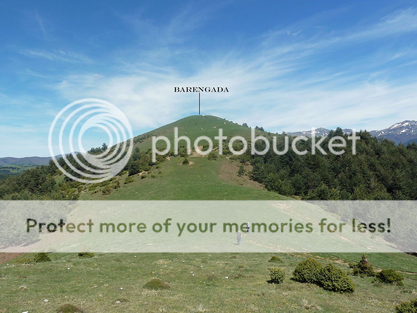 Photo Sharing and Video Hosting at Photobucket