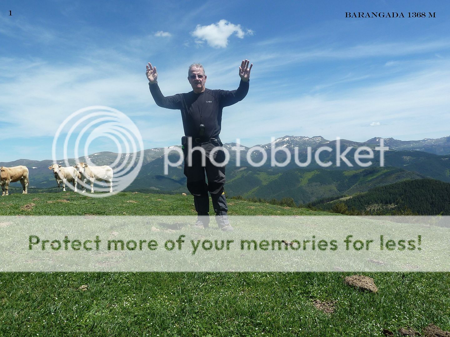 Photo Sharing and Video Hosting at Photobucket